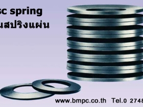 Cup spring, Bearing preload spring, Schnorr, Disc spring, แหวนจาน