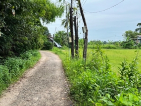 ขายด่วน! ที่ดินสวย ทำเลดี ตัวเมืองศรีสะเกษ 5 ไร่ !!