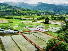 ขายที่ดิน ปัว น่าน 707 ตร.ว. ราคา 1.9 ล้าน