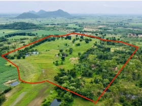 ขายที่ดินแปลงใหญ่ พยุหะคีรี นครสวรรค์ ทำประชาคม สร้างฟาร์ม ได้