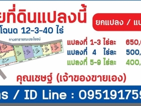 ที่ดินโฉนดแบ่งขายราคาถูก มีเพียง 9 แปลงเท่านั้น
