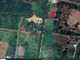 ขายที่ดินปราจีนบุรี